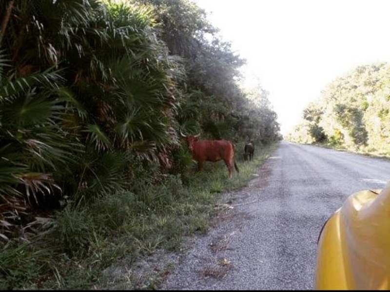 Cuba on the&nbsp;road